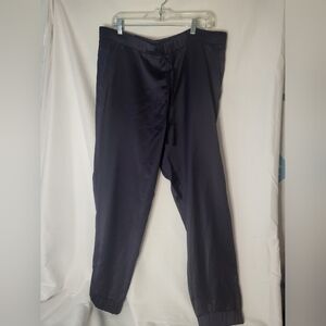 Banana republic pants